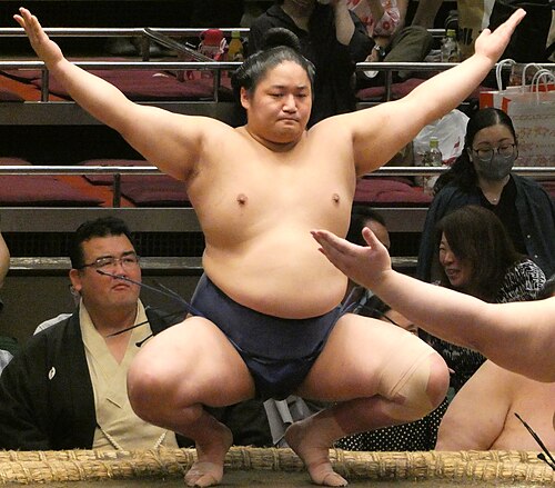 Fujiseiun