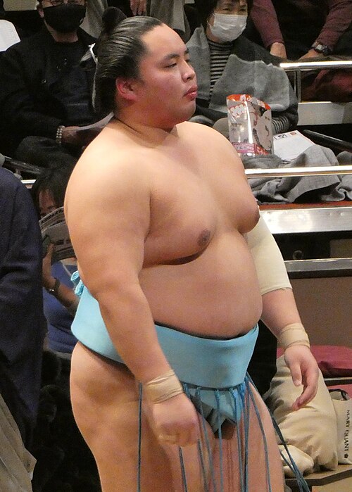 Kotoshoho